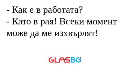 Как е в работата? - Като в рая...
