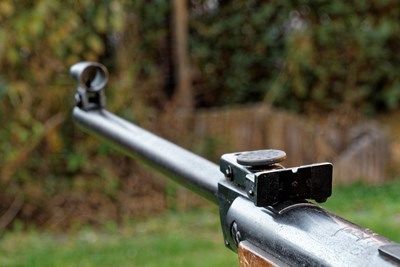 Мъж застреля съседско куче във варненско село, влязло му в двора