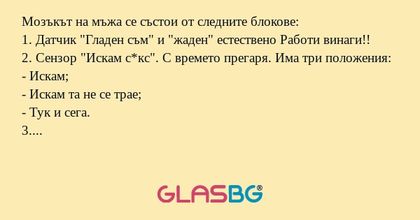 Мозъкът на мъжа се състои от следните блокове!