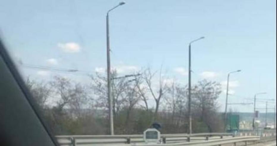 Скриха тринога камера зад паметна плоча на Аспаруховия мост
