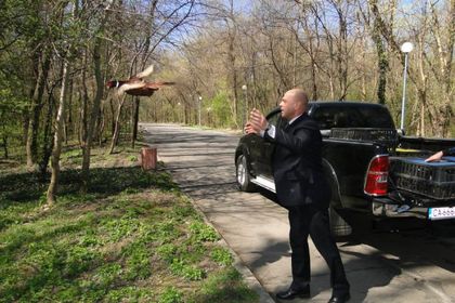 Справка на ЦИК и оспорени гласове обръщат резултата от вота в „Тракия“?