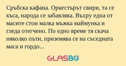 Сръбска кафана. Оркестърът свири...