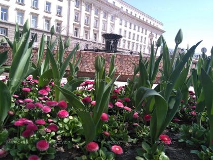 НИМХ: Утре преди обяд ще преобладава слънчево време, максималните температури ще са между 19° и 24°