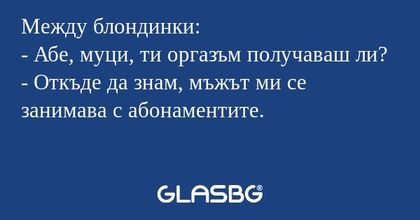 Между блондинки: - Абе, муци, ти...