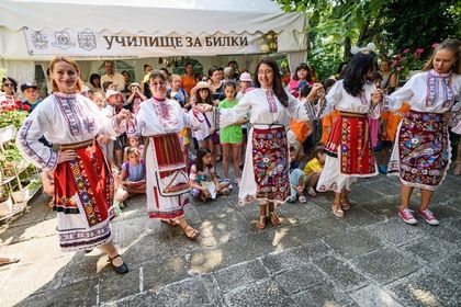 Варна: „Училище за билки“ събра деца и възрастни на Еньовден в Музея по история на медицината