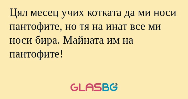 Цял месец учих котката да ми носи...