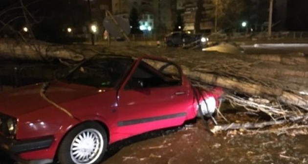 Дърво размаза кола! Режат ламарини, за да извадят шофьорката