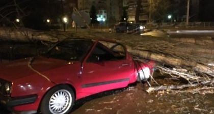 Дърво размаза кола! Режат ламарини, за да извадят шофьорката
