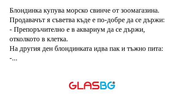 Блондинка купува морско свинче...
