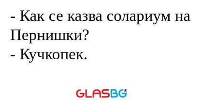 Как се казва солариум на Пернишки...