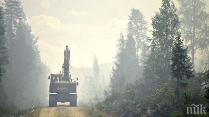 Дъжд помогна на Швеция в потушаването на горските пожари