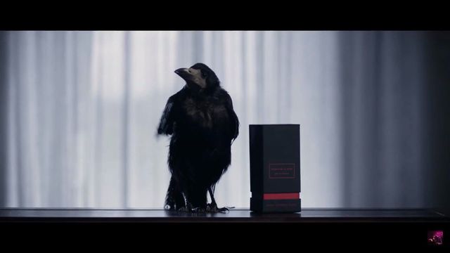 Как да накараш интелектуалци да харесват чалга - рецепта от Азис (ВИДЕО)