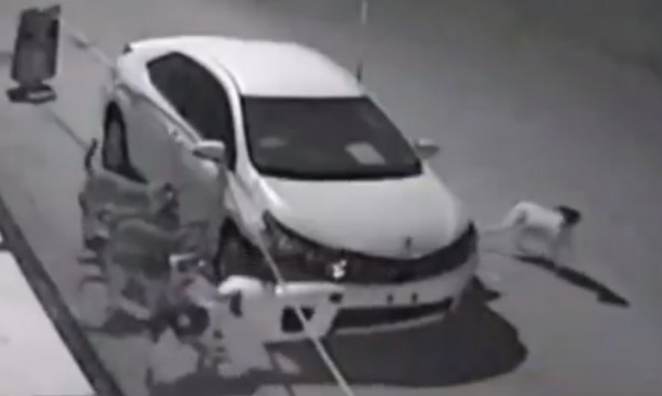 Кучета хулигани опоскаха автомобил в Турция