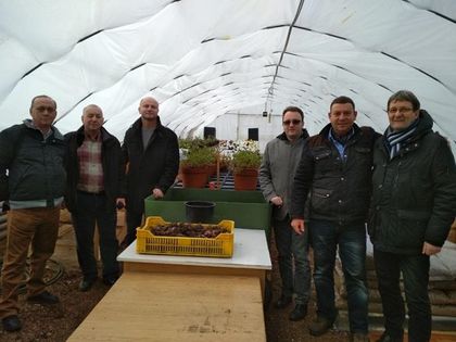 Смолян: 800 летни растения от вида „Canna generalis” дариха на Общината партньорите от побратимената унгарска Община Кишпещ