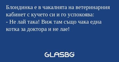 Блондинка е в чакалнята на ветеринарния...