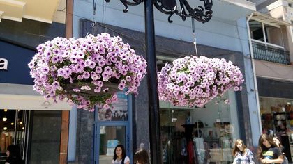 Цветен Пловдив за Великден