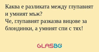 Каква е разликата между глупавият...
