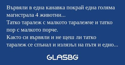 Вървяли в една канавка покрай една...
