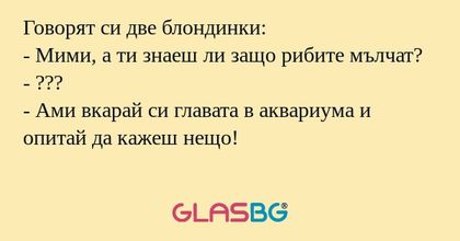 Говорят си две блондинки: - Мими...
