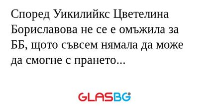 Според Уикилийкс Цветелина Бориславова...