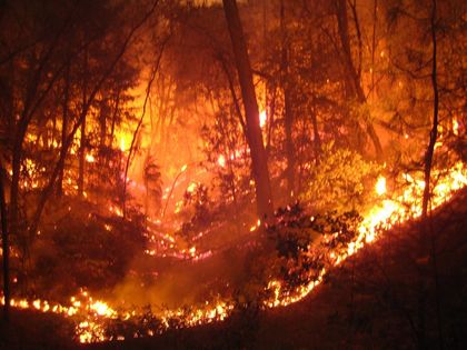 На общо 22 сигнала са реагирали огнеборците от региона за времето от петък до днес