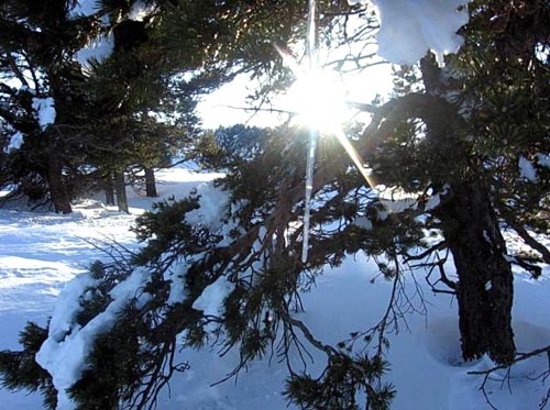 НИМХ: Сняг ще вали в Североизточна България и в планините, минималните температури ще са от минус 5° до 0°