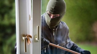 Удар край Пловдив! Крадци убиха куче и откраднаха много пари