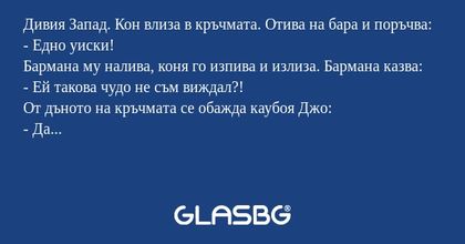 Дивия Запад. Кон влиза в кръчмата...