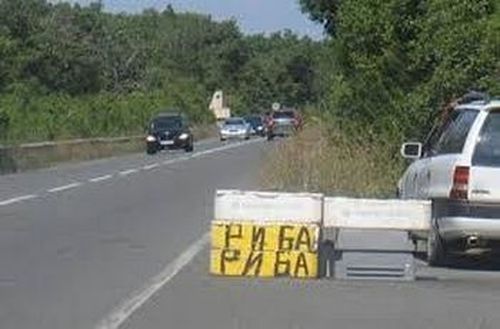 Цигани плашат с бой, ако не купиш от вмирисаната им риба