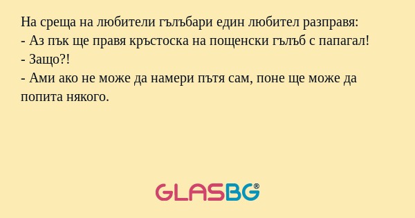 На среща на любители гълъбари един...