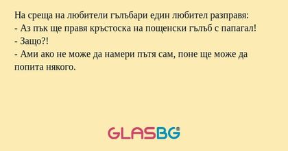 На среща на любители гълъбари един...