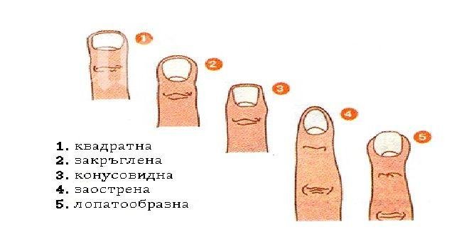Уникално! Вижте как пръстите на ръцете издават съдбата ни!