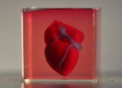 Учени успешно 3-D принтират сърце директно от клетките на пациента