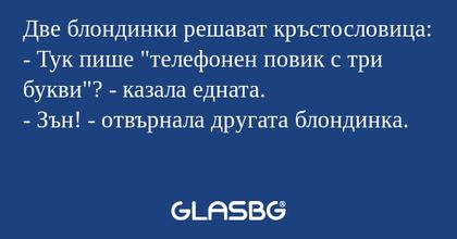Две блондинки решават кръстословица...
