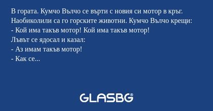 В гората. Кумчо Вълчо се върти...