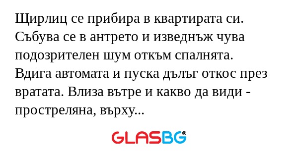 Щирлиц се прибира в квартирата...