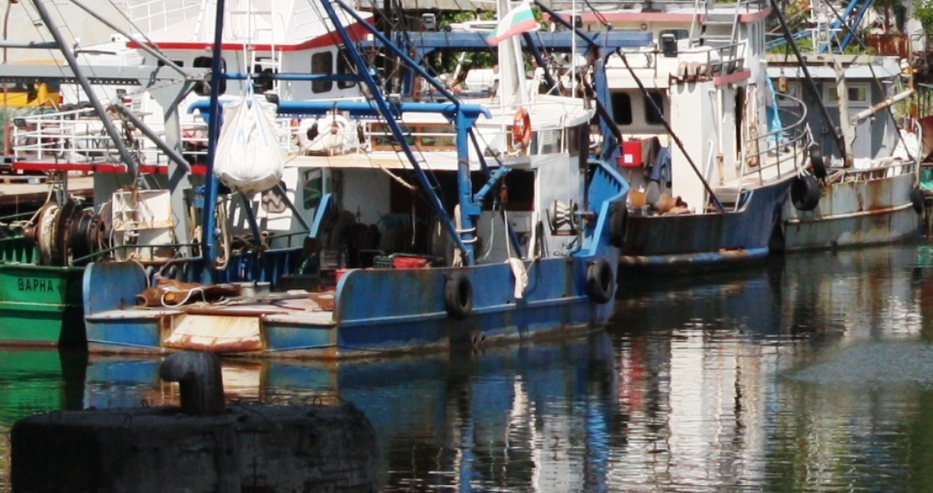 Изненада от Община Варна: Не едно, а две рибарски пристанища ще има в 