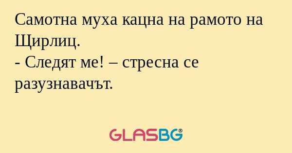 Самотна муха кацна на рамото на...