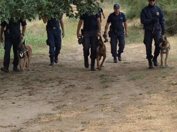 Трети ден търсят в Средна гора 9-годишно козарче от карловско село