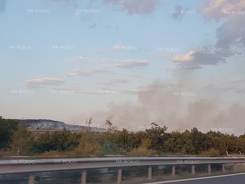 Пловдив: Сухи треви горят на голяма площ в района на село Браниполе, гасенето е затруднено заради силен вятър