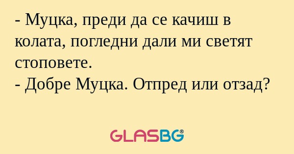 Муцка, преди да се качиш в колата...