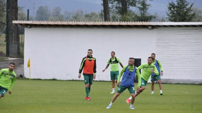 Бербатов тренира с 