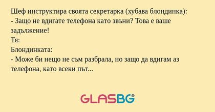 Шеф инструктира своята секретарка...