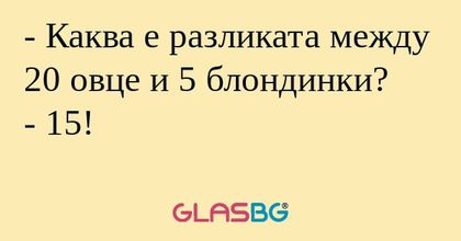 Каква е разликата между 20 овце...