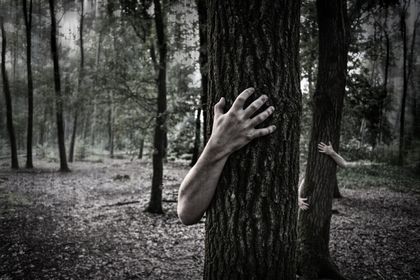 Ново 20: Дърветата ни пазят от стрес и психически заболявания