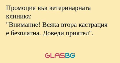 Промоция във ветеринарната клиника...