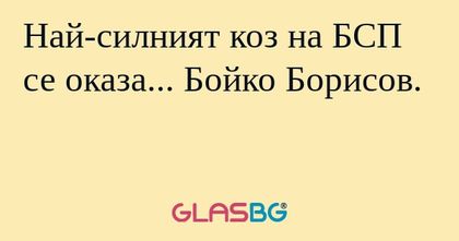 Най-силният коз на БСП се оказа...
