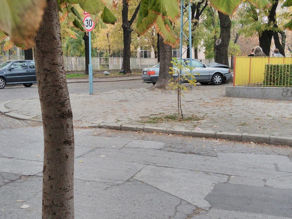 Ауди се заби в дърво между училище и детска градина в Кършияка (СНИМКА)