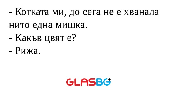 Котката ми, до сега не е хванала...