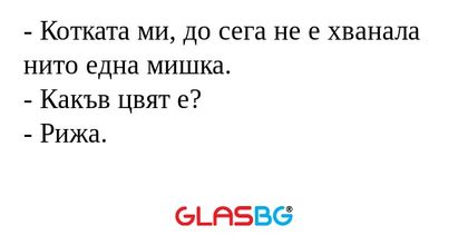 Котката ми, до сега не е хванала...